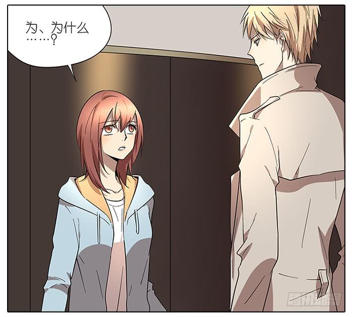 52.停止！-第53话