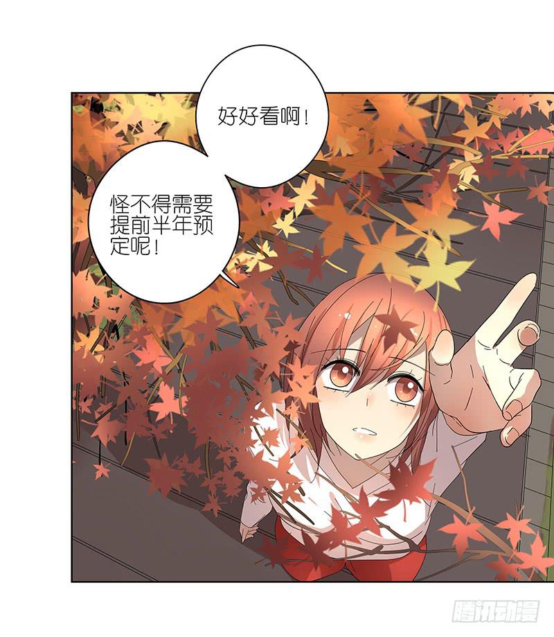 74.四人重组！-第75话