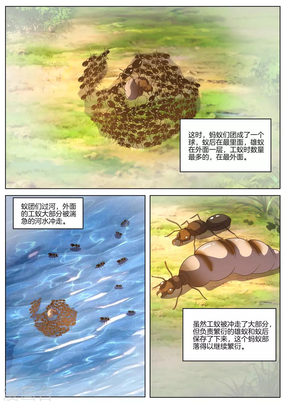 第65话 荼尤未尽-第65话