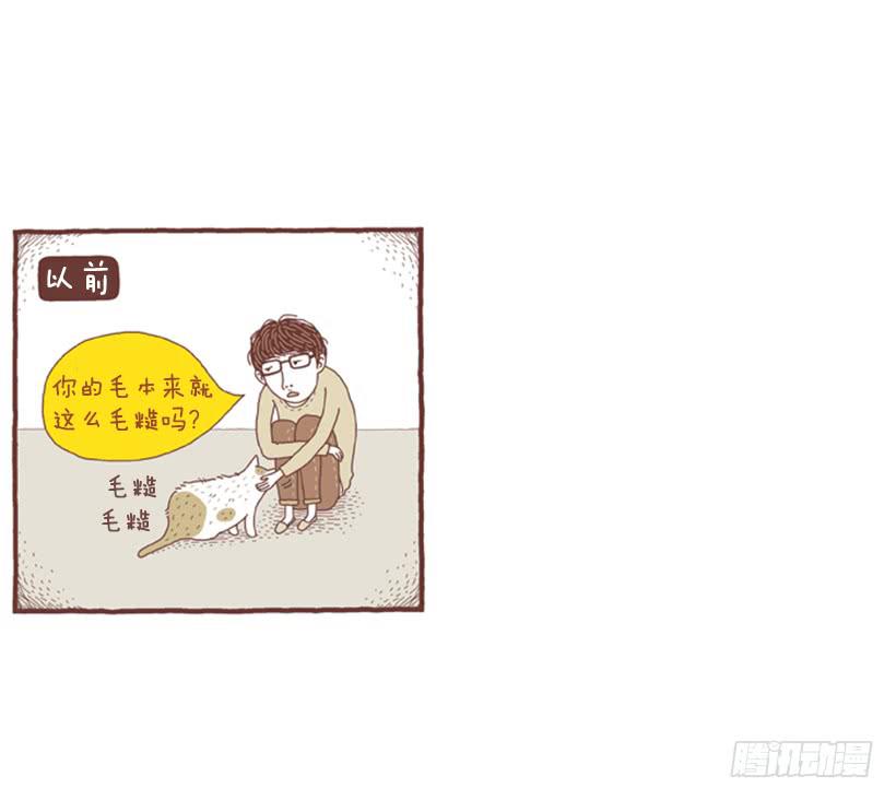 一开始的鸡飞狗跳-第11话