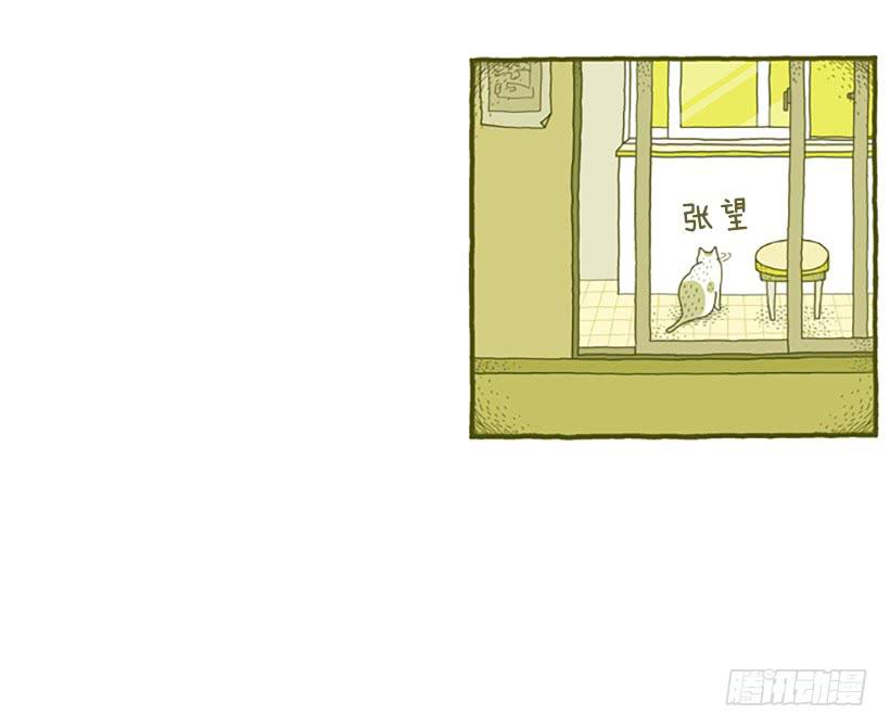 窗外的猫 上篇-第15话