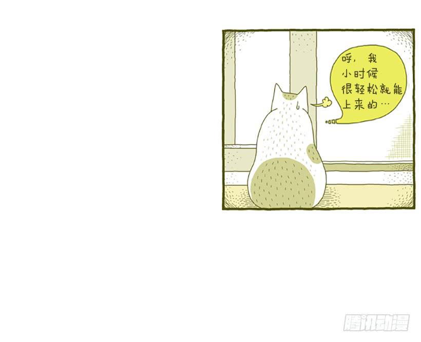 窗外的猫 上篇-第15话