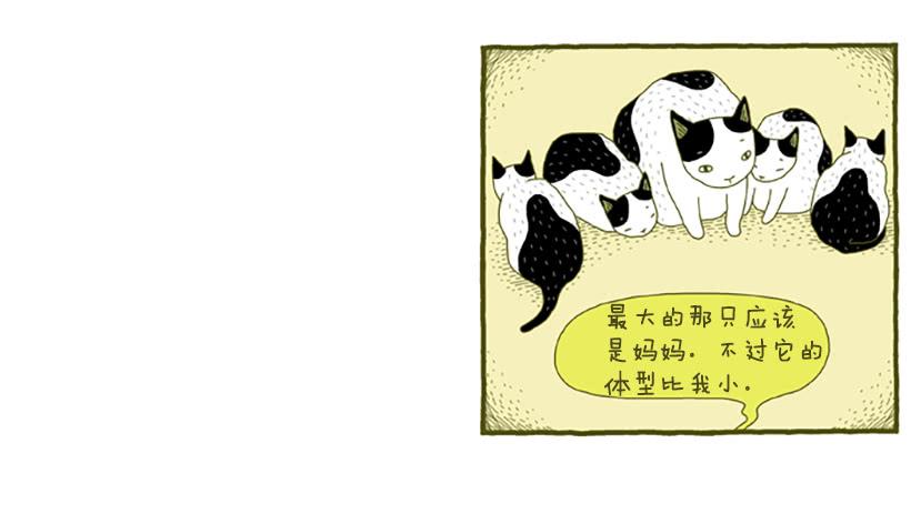 窗外的猫 上篇-第15话