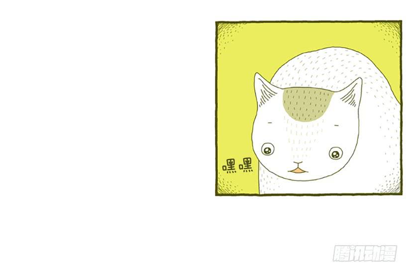 窗外的猫 上篇-第15话