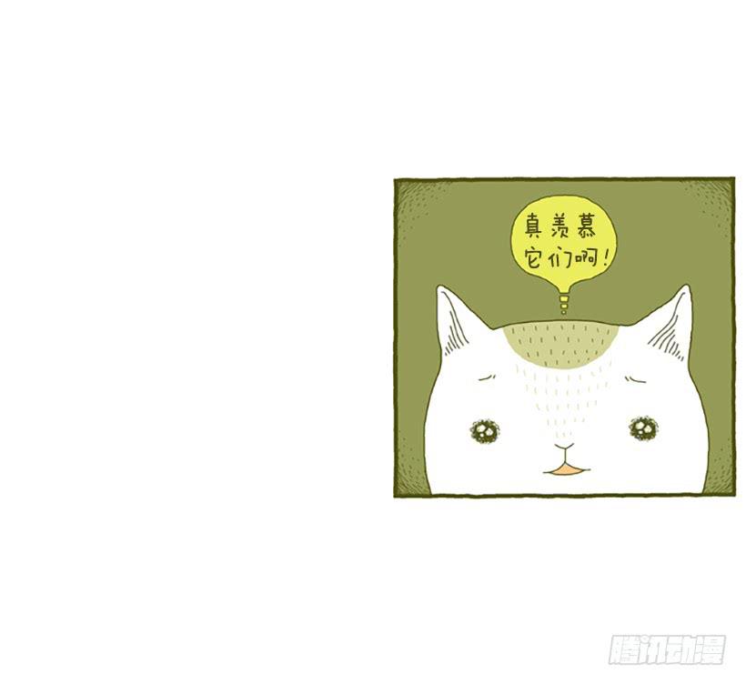 窗外的猫 上篇-第15话