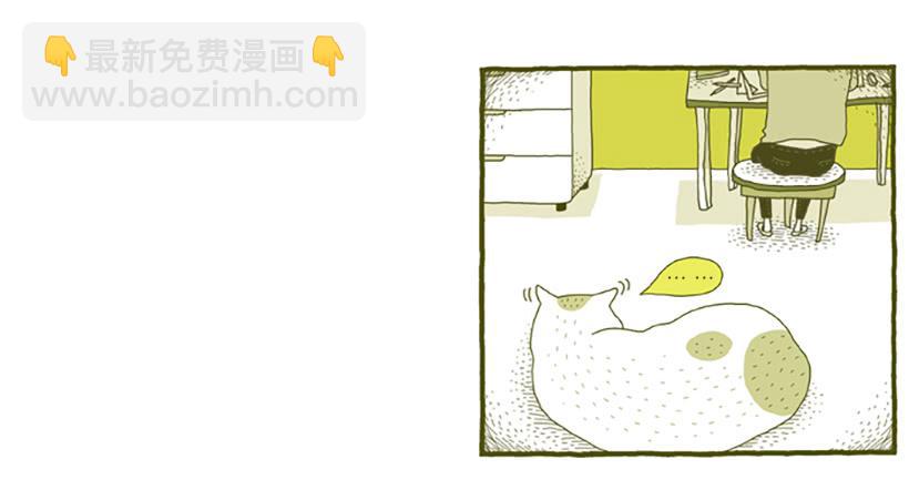 窗外的猫 上篇-第15话