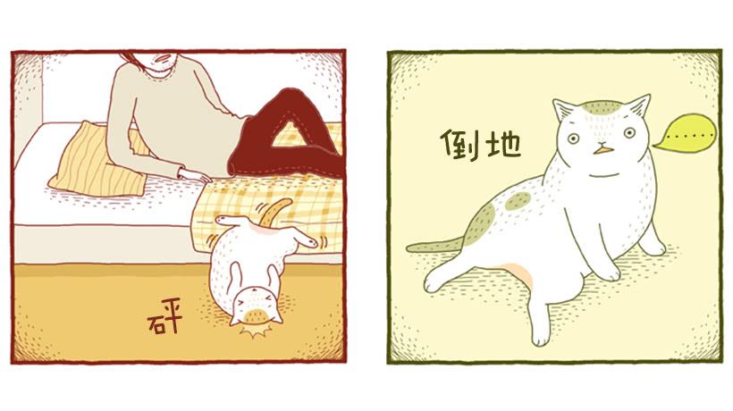 生日和忌日 下篇-第19话