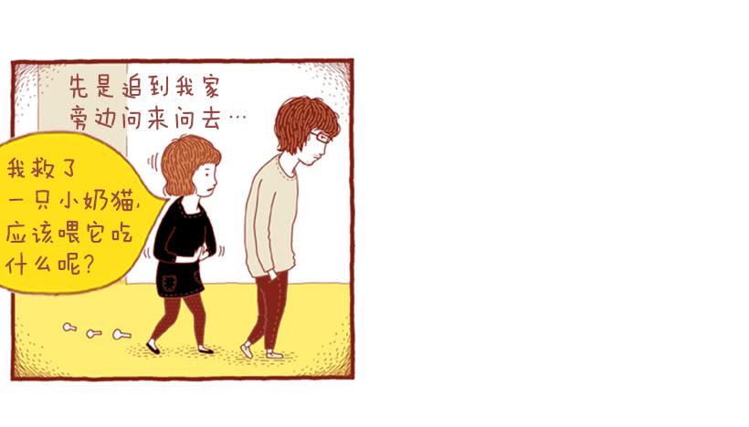 喜欢猫的女人 下篇-第23话
