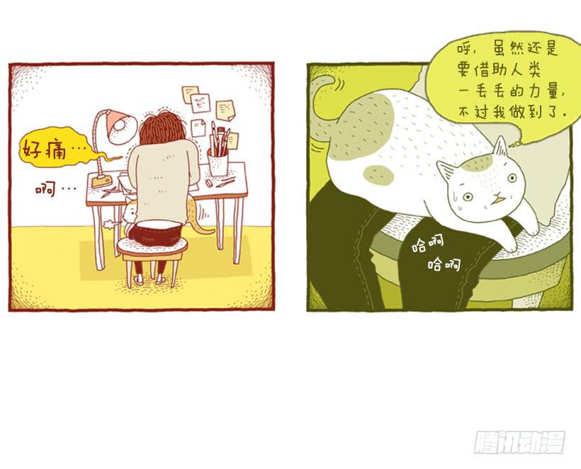 别看我这样，我可是一只猫-第31话