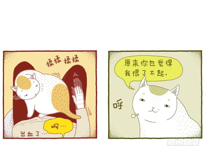 别看我这样，我可是一只猫-第31话
