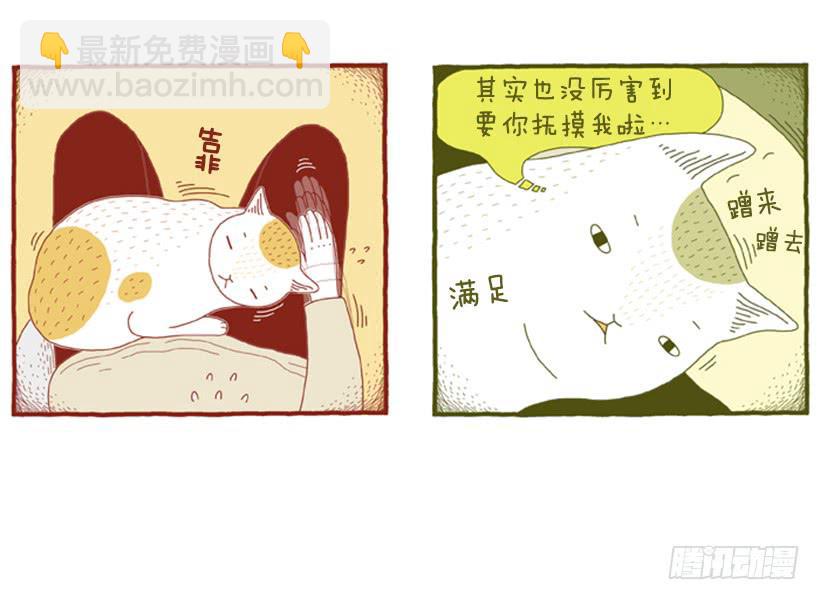 别看我这样，我可是一只猫-第31话