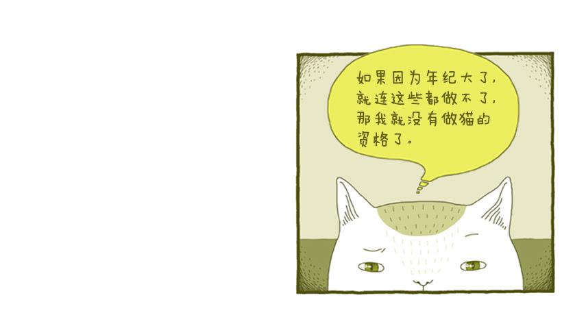 别看我这样，我可是一只猫-第31话