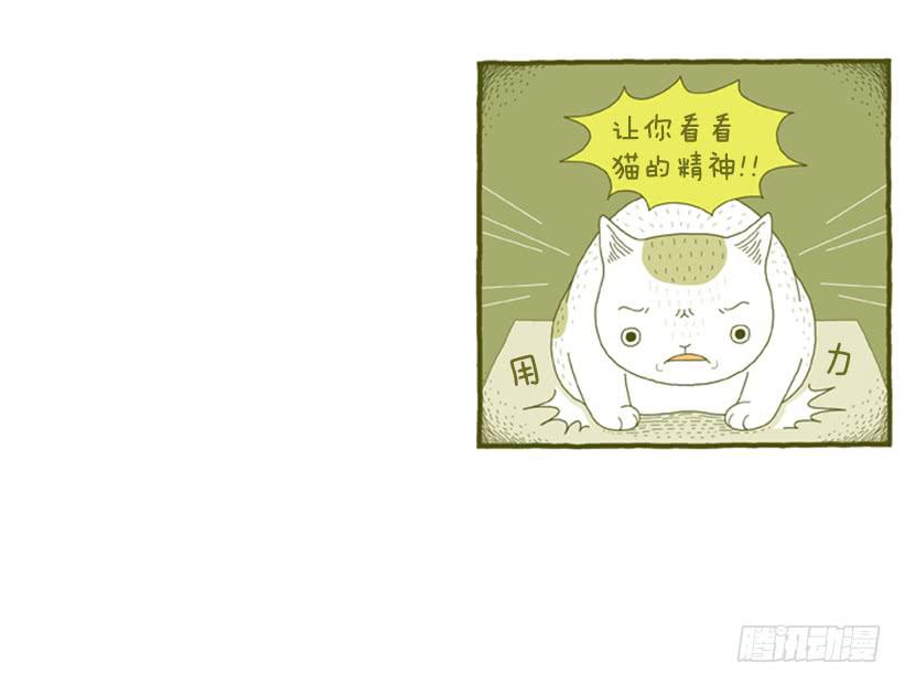 别看我这样，我可是一只猫-第31话
