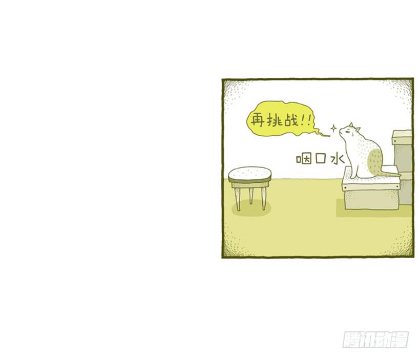 别看我这样，我可是一只猫-第31话