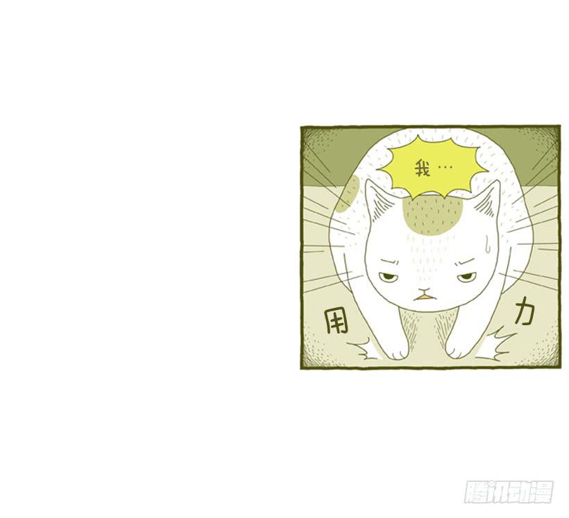 别看我这样，我可是一只猫-第31话