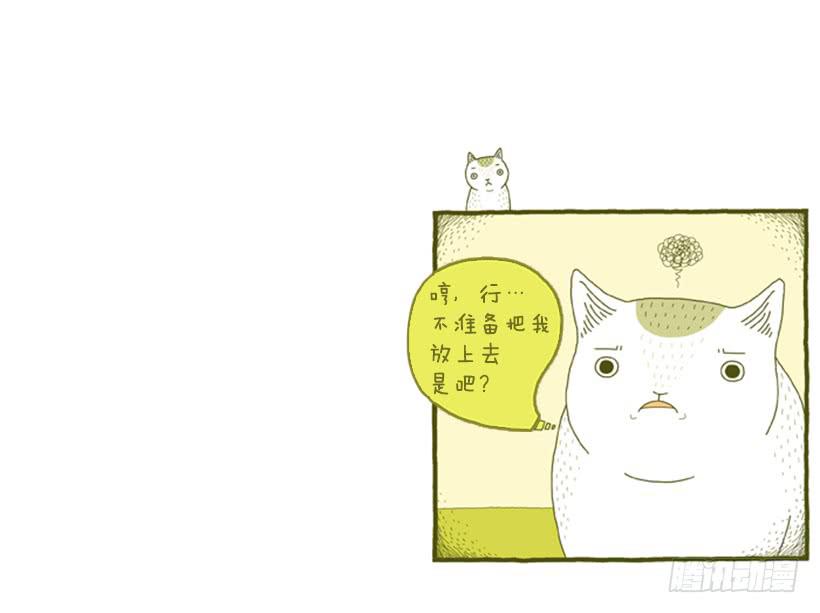 别看我这样，我可是一只猫-第31话