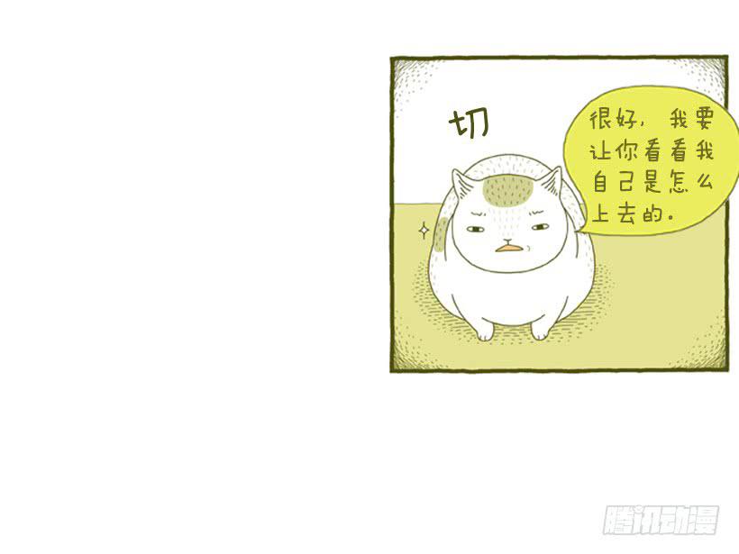 别看我这样，我可是一只猫-第31话