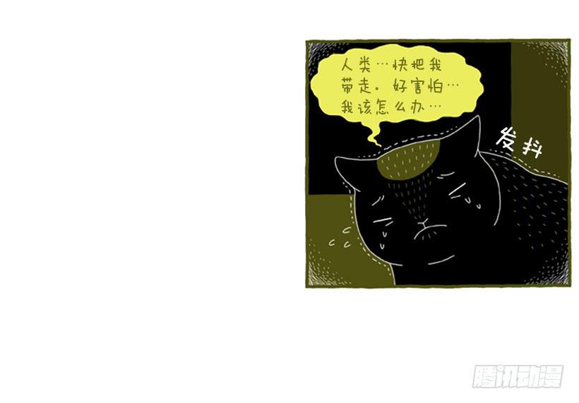 好奇害死猫-第35话