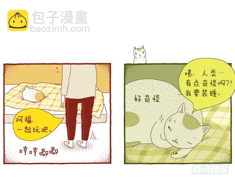 玩也讲究时机-第39话