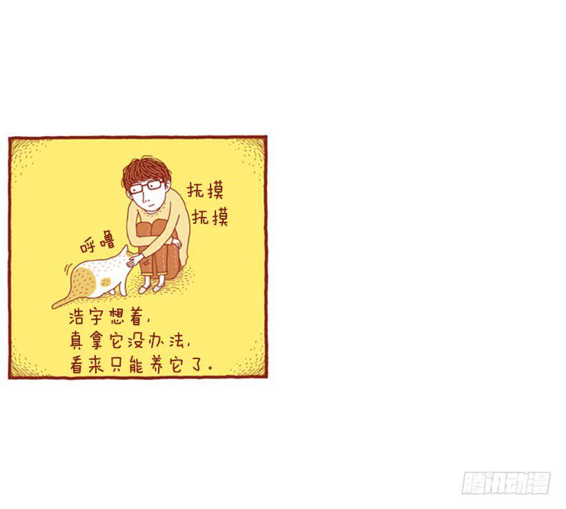 不漏雨的小窝-第5话