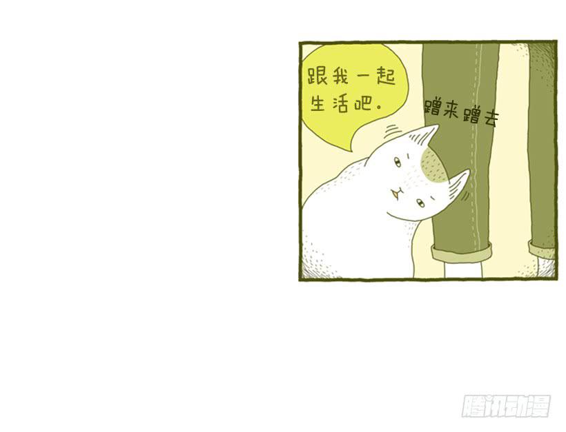 不漏雨的小窝-第5话