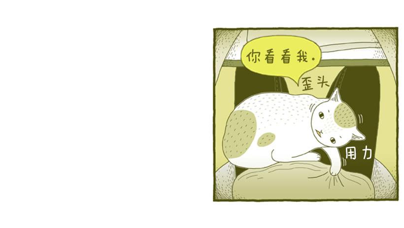 求关注-第43话