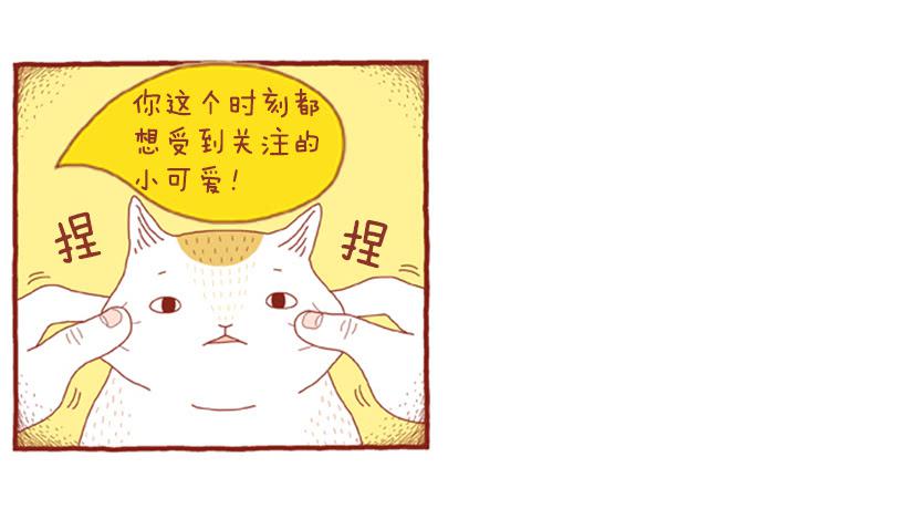 求关注-第43话