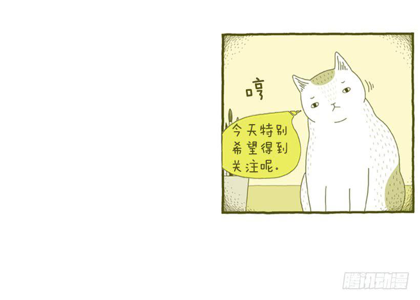求关注-第43话