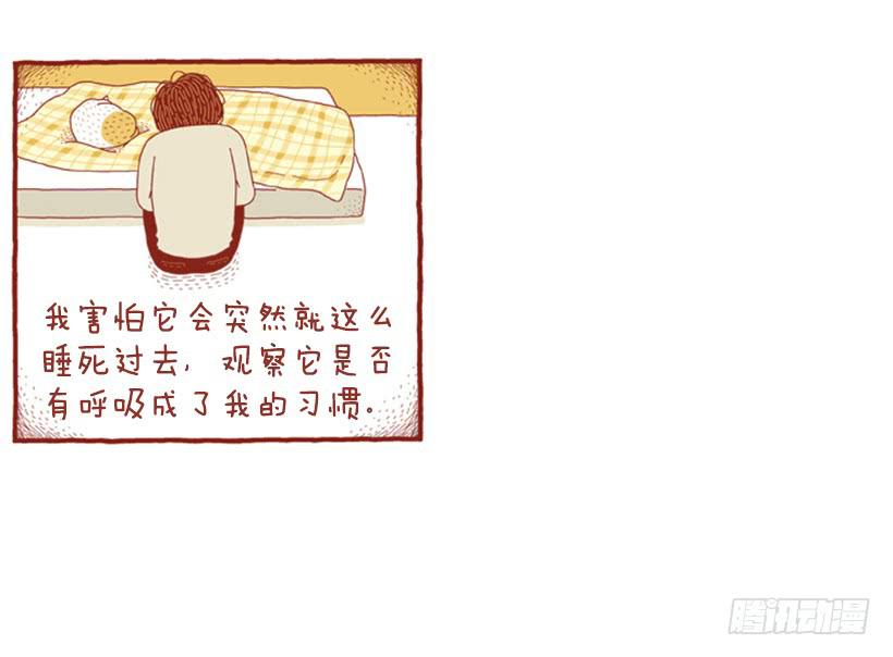 只要你呼吸就好-第47话