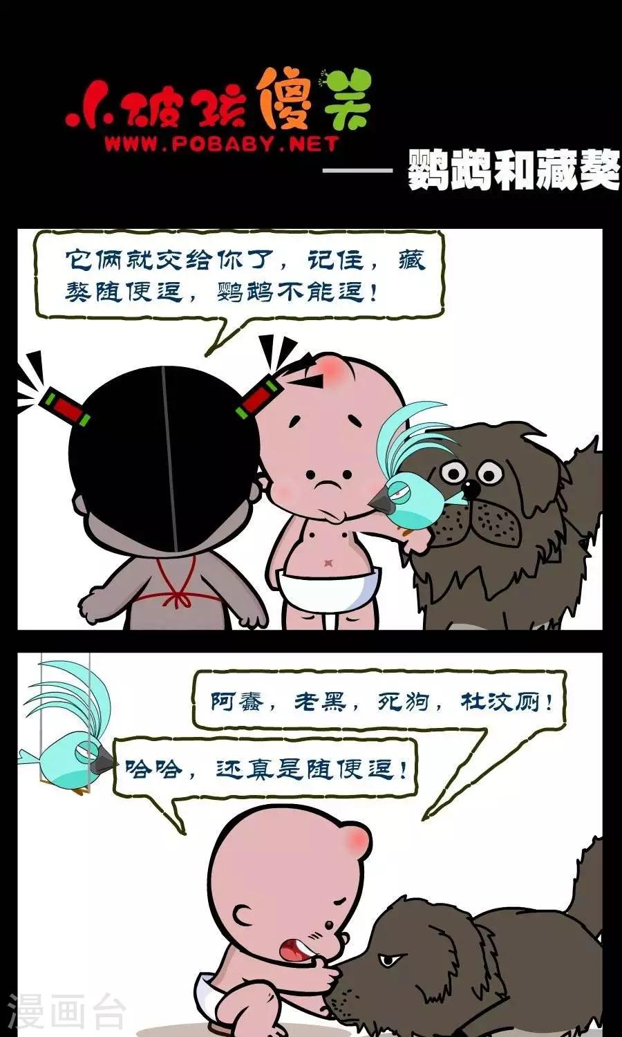 第327话  鹦鹉和藏獒-第327话