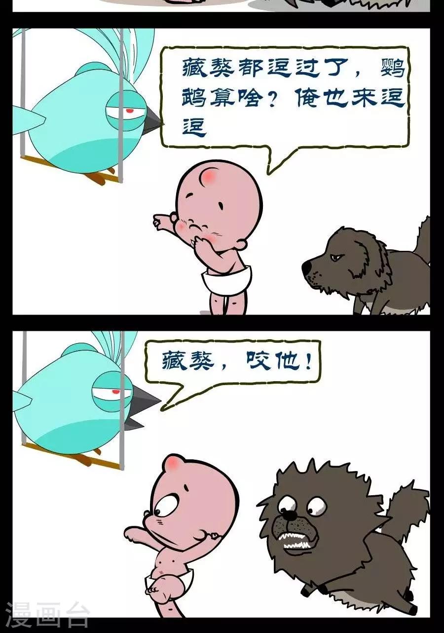 第327话  鹦鹉和藏獒-第327话