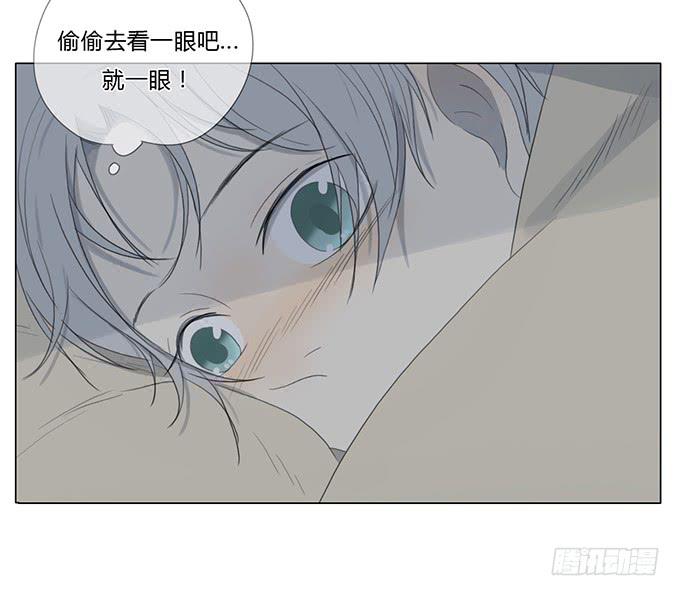 第四十五话(1/2)-第47话