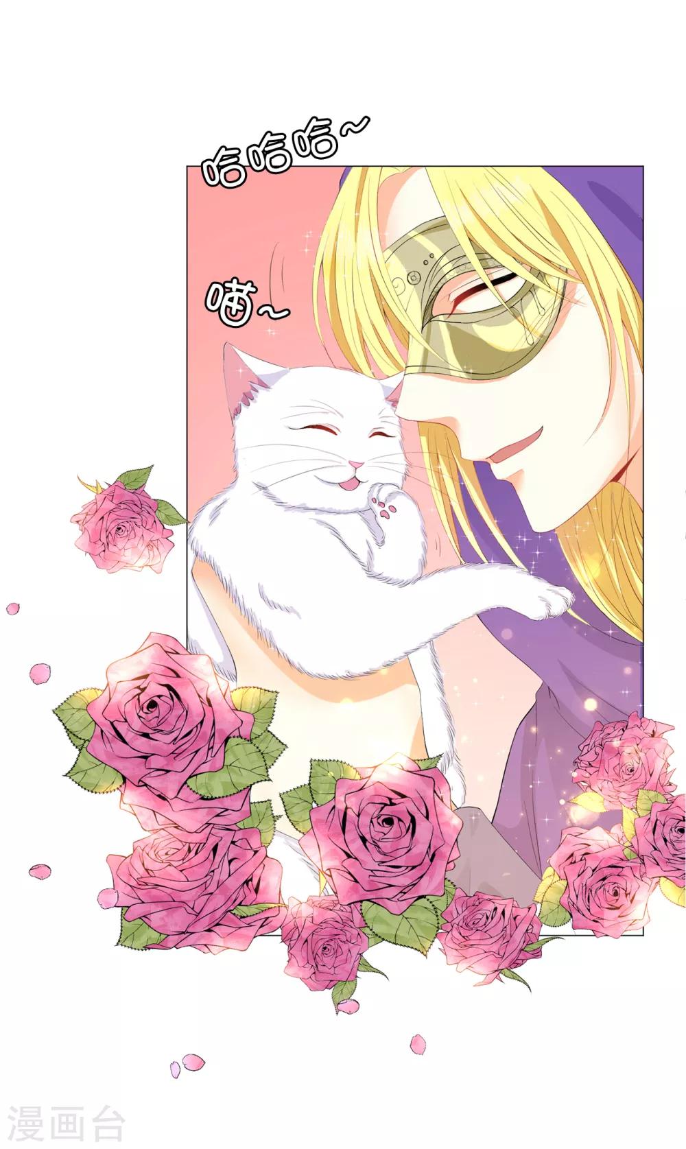 第42话 人不如猫-第43话