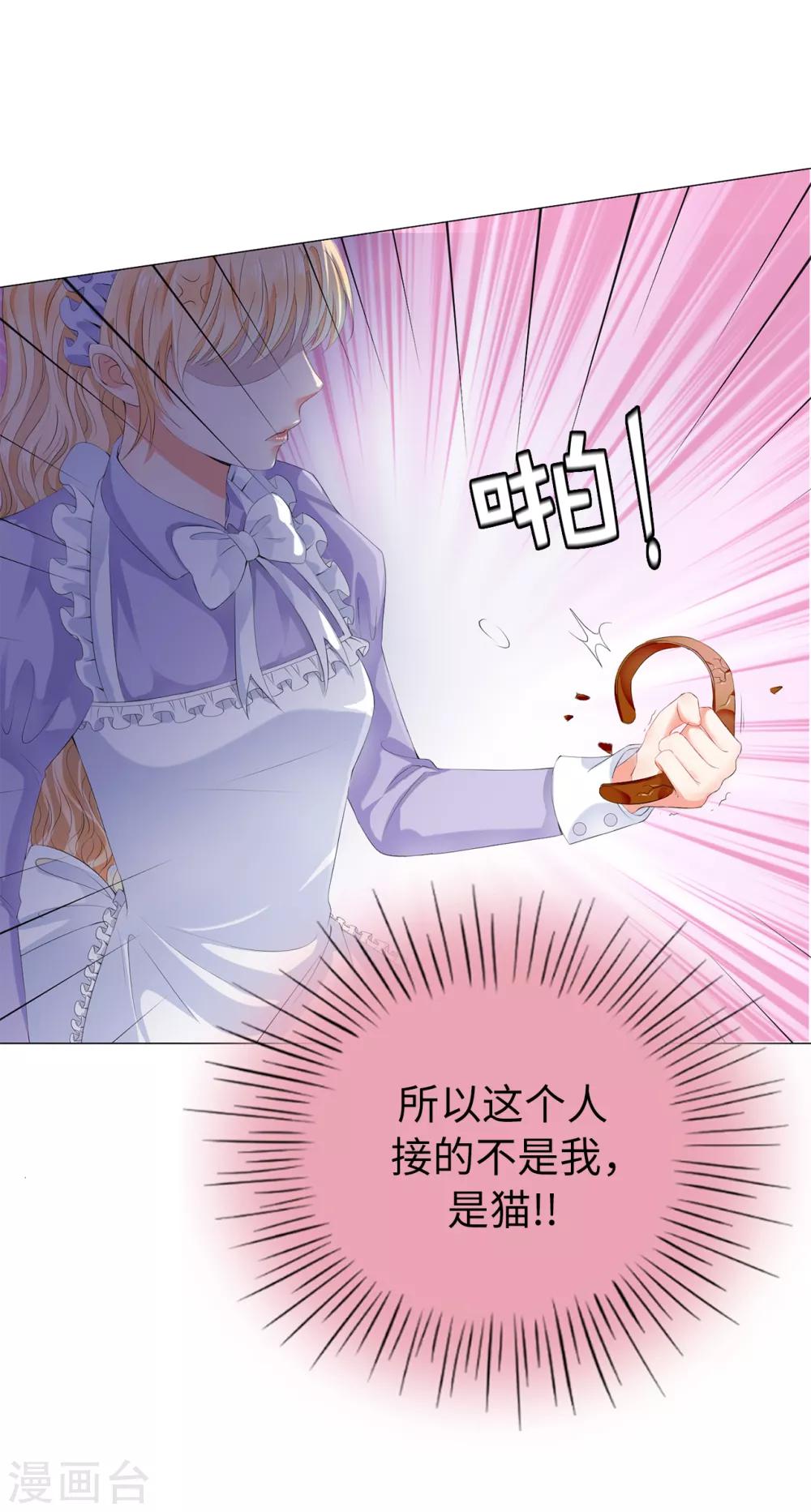 第42话 人不如猫-第43话