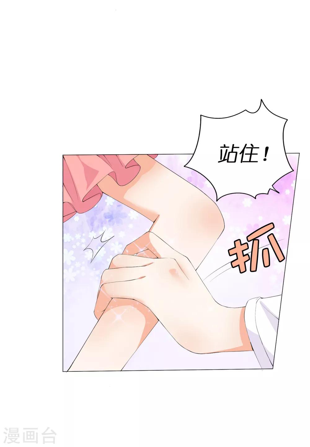 第42话 人不如猫-第43话