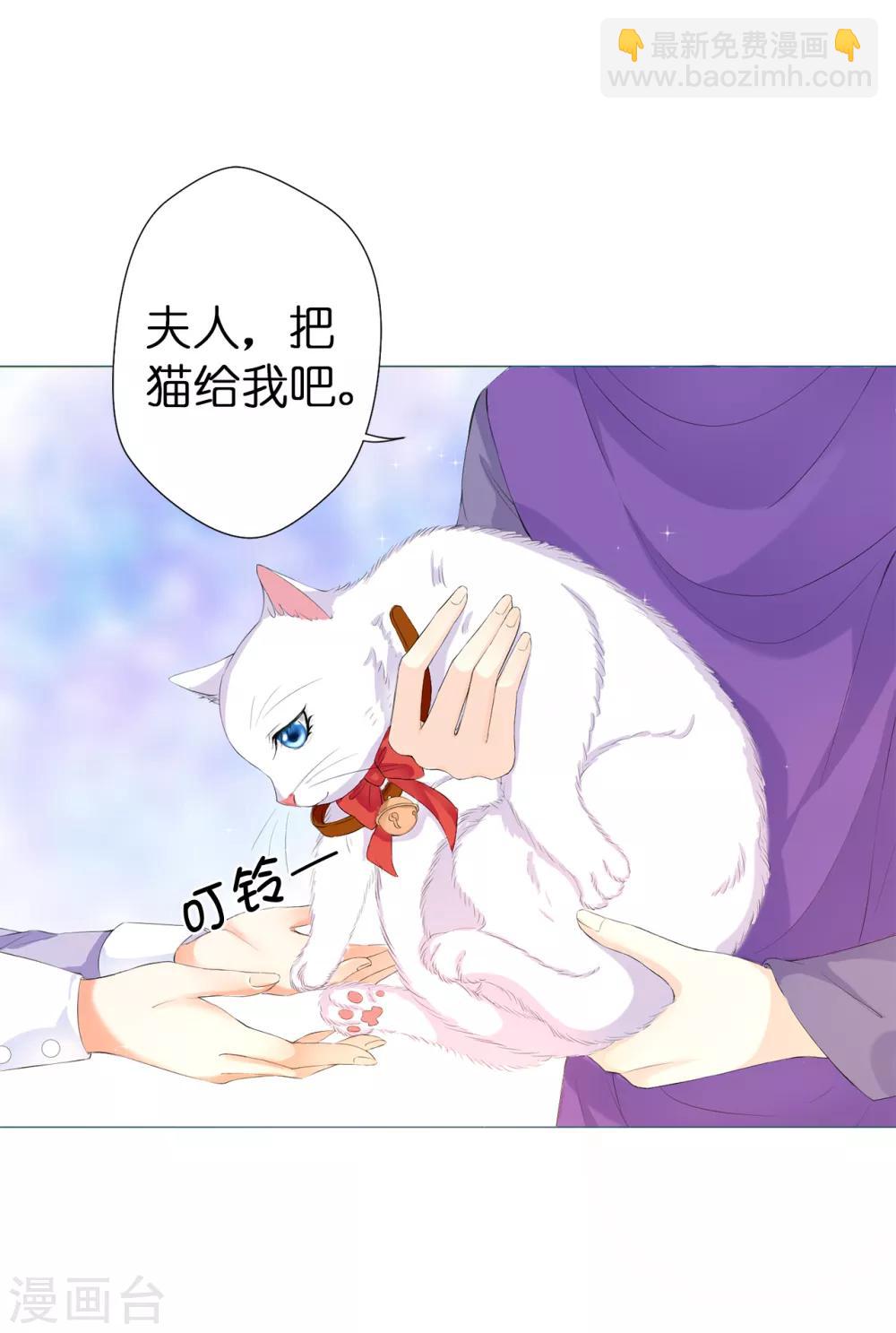 第42话 人不如猫-第43话
