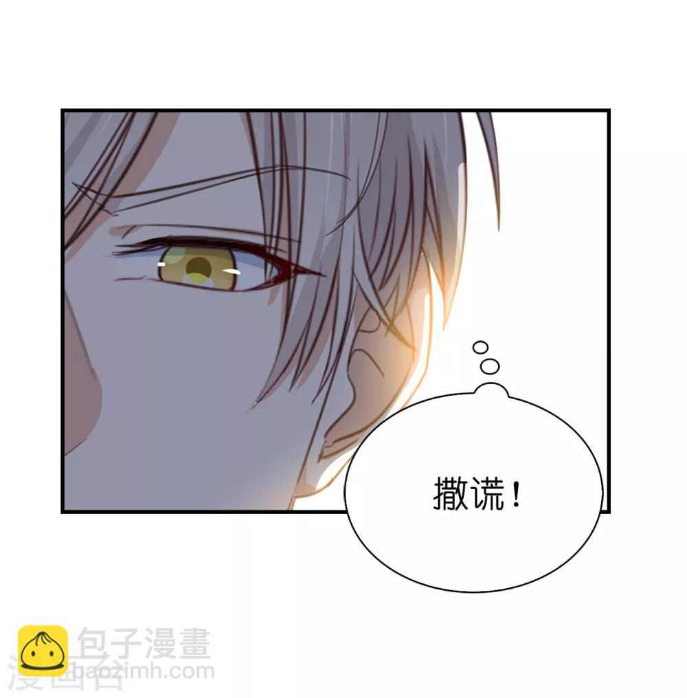 第89话 你不再是我的夫人-第91话