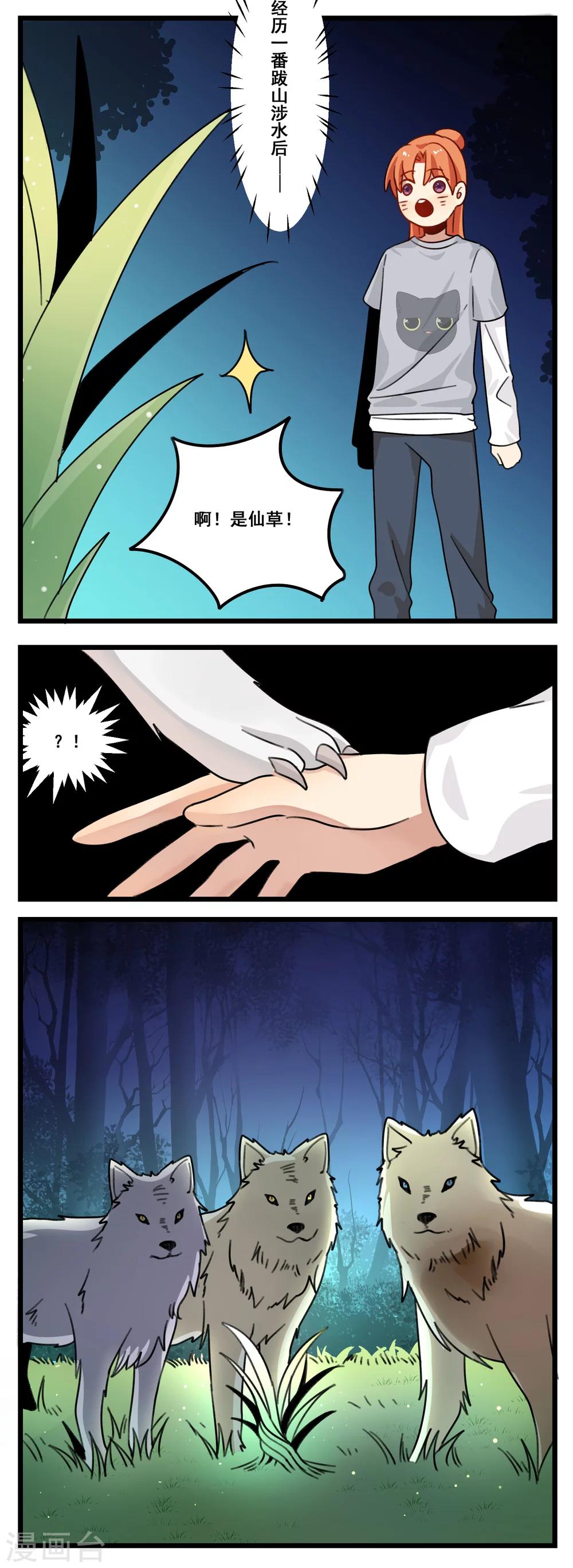 🍚修仙，修仙，你咋不上天 第36话 第11页
