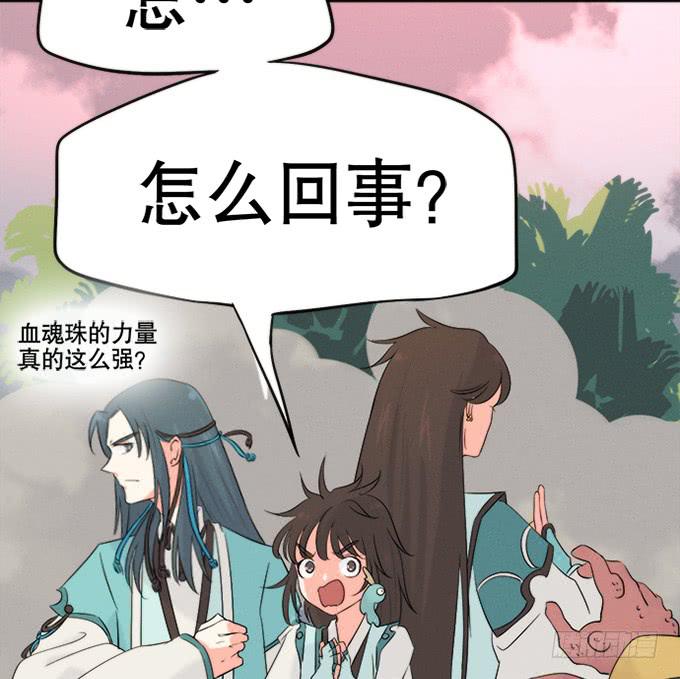 🍚修仙直播间 重返青阳 第12页