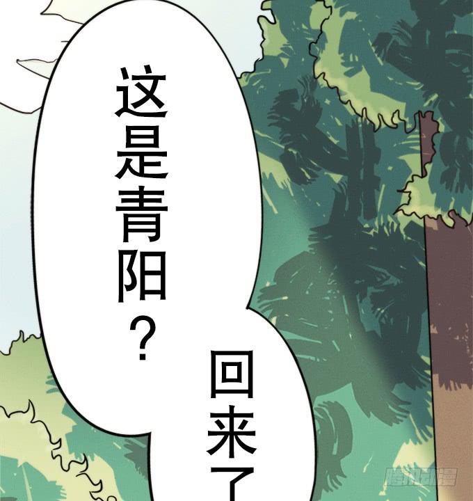 🍚修仙直播间 重返青阳 第43页