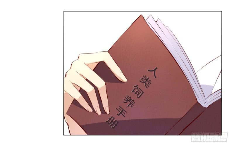 013 煮夫养成！抓住她的胃-第13话