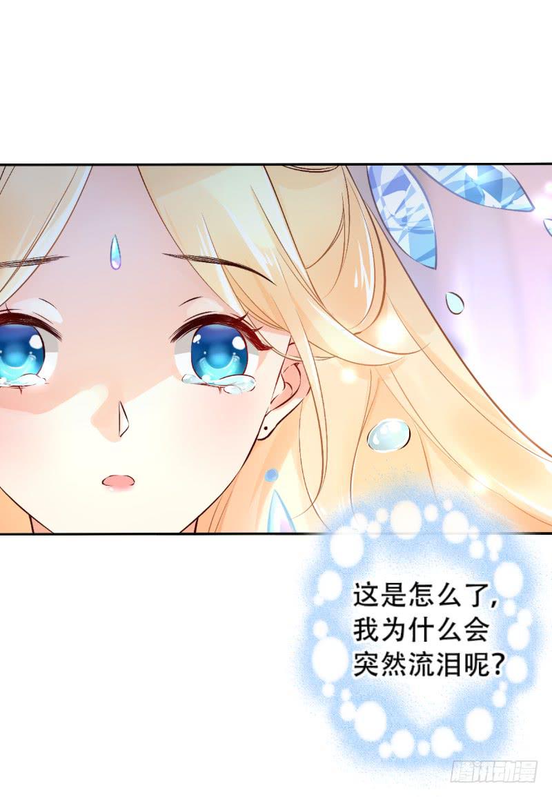 041 她就是王子妃！-第41话