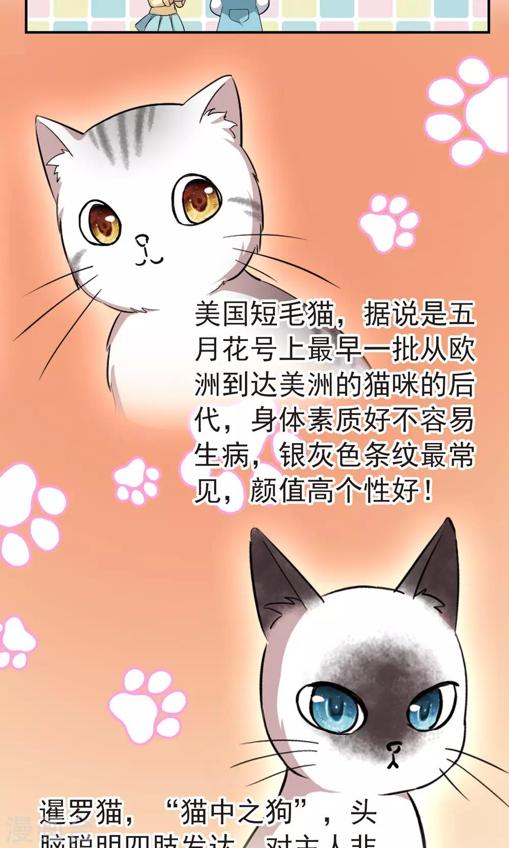 🍚玄羽恋歌 番外1 小百科 第3页