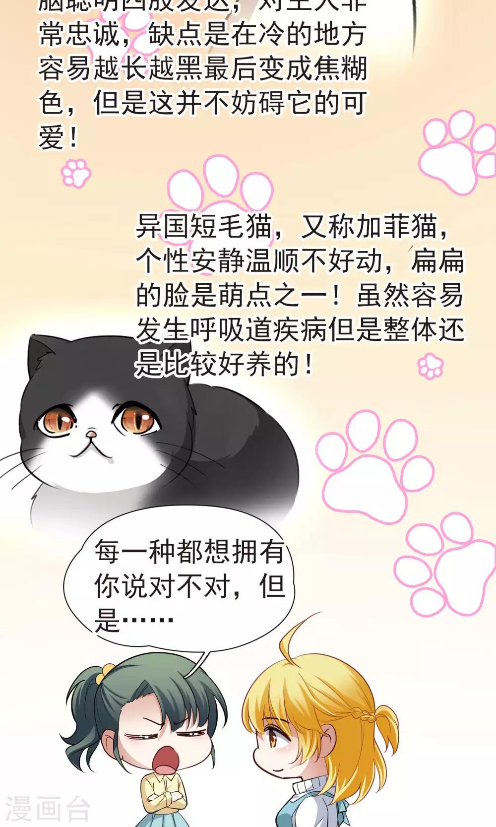 🍚玄羽恋歌 番外1 小百科 第4页