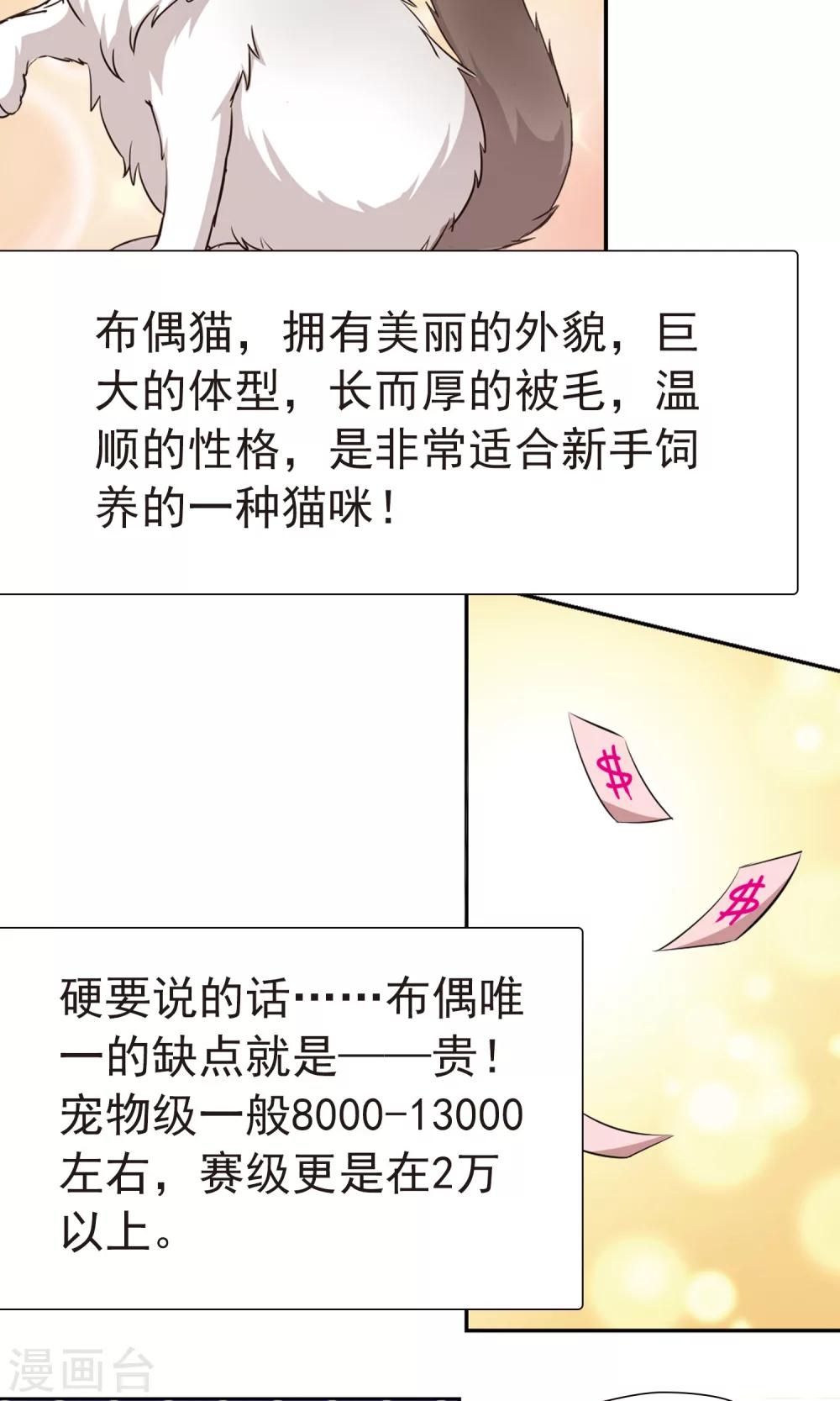 🍚玄羽恋歌 番外1 小百科 第6页