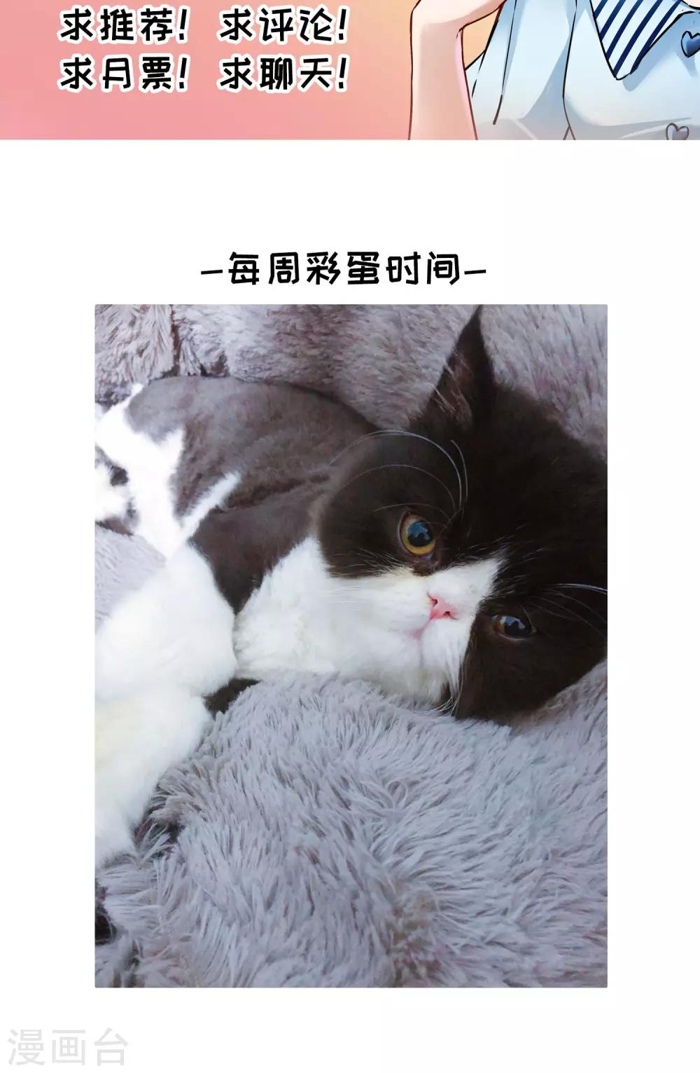 🍚玄羽恋歌 第68话 前往悠蓝岛1 第26页