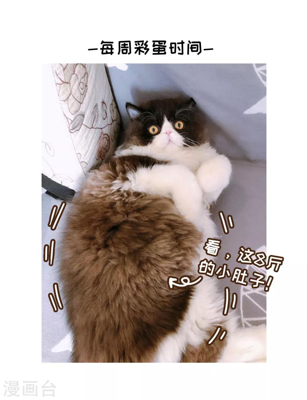 🍚玄羽恋歌 第82话 异界访客1 第35页