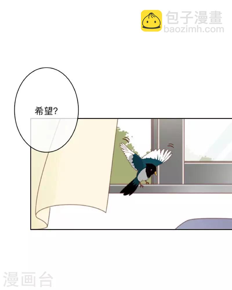 第44话 言希，你喜欢他-第45话