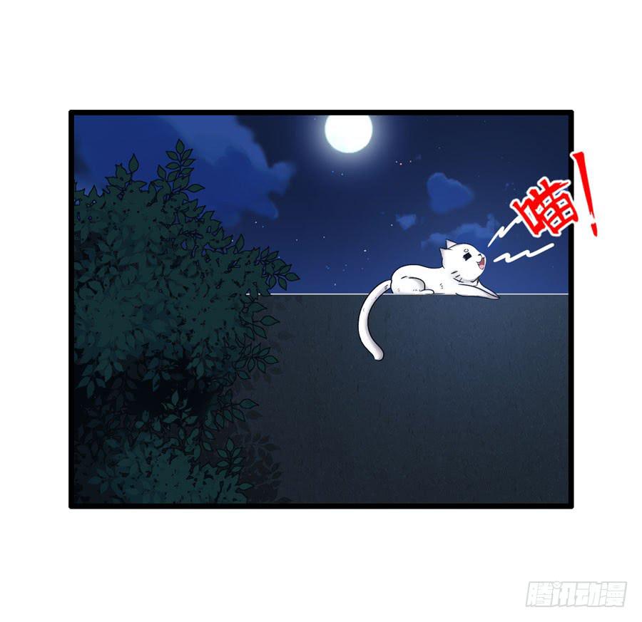 二半吊子(1/2)-第11话