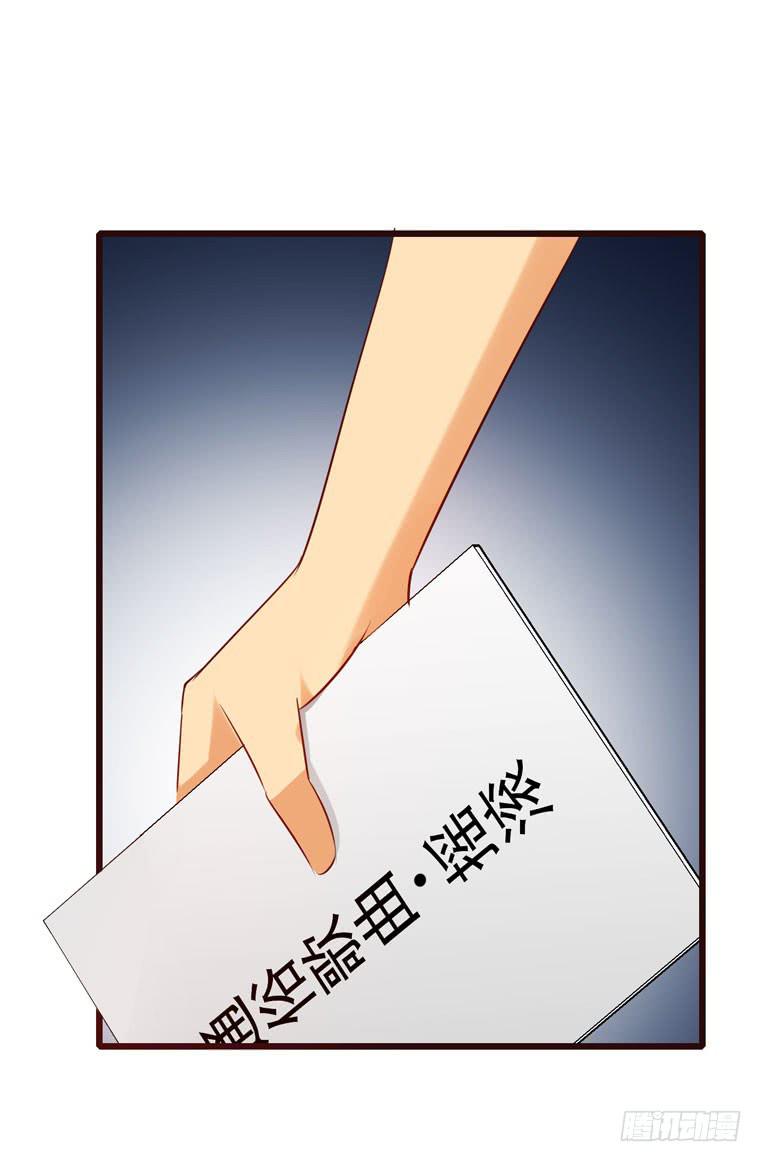 动物世界-第53话